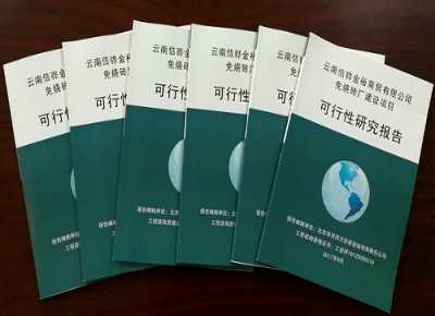 完成某紅磚廠年產(chǎn)X000萬塊頁巖燒結(jié)新型材料技改項目可行性研究報告